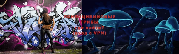 мяу мяу мука Алексеевка
