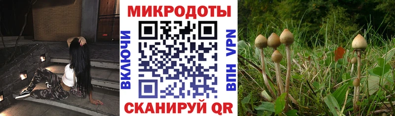 как найти закладки  Луза  Псилоцибиновые грибы GOLDEN TEACHER 